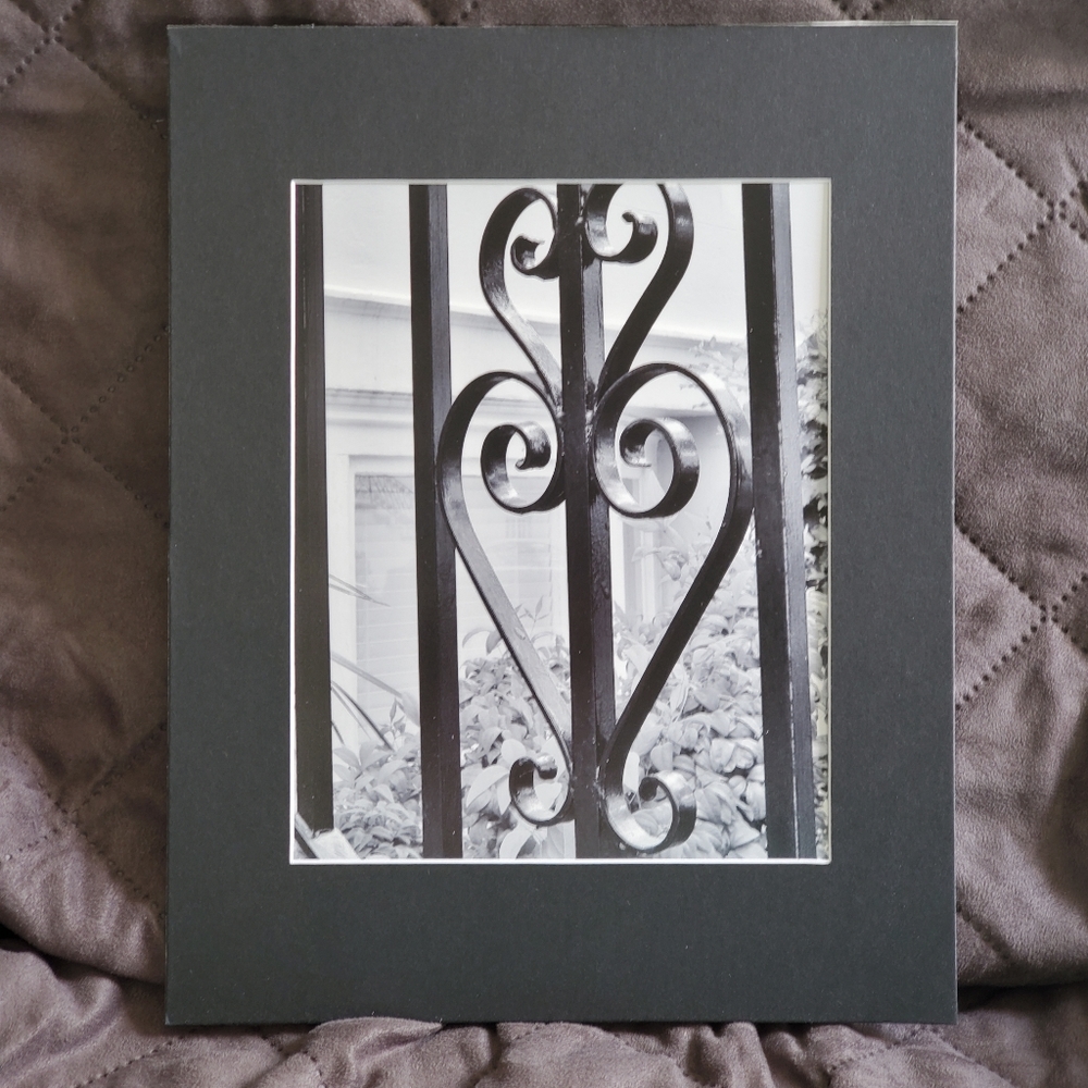 Wrought Iron Fence 11x14